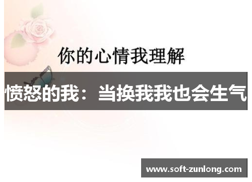 愤怒的我：当换我我也会生气